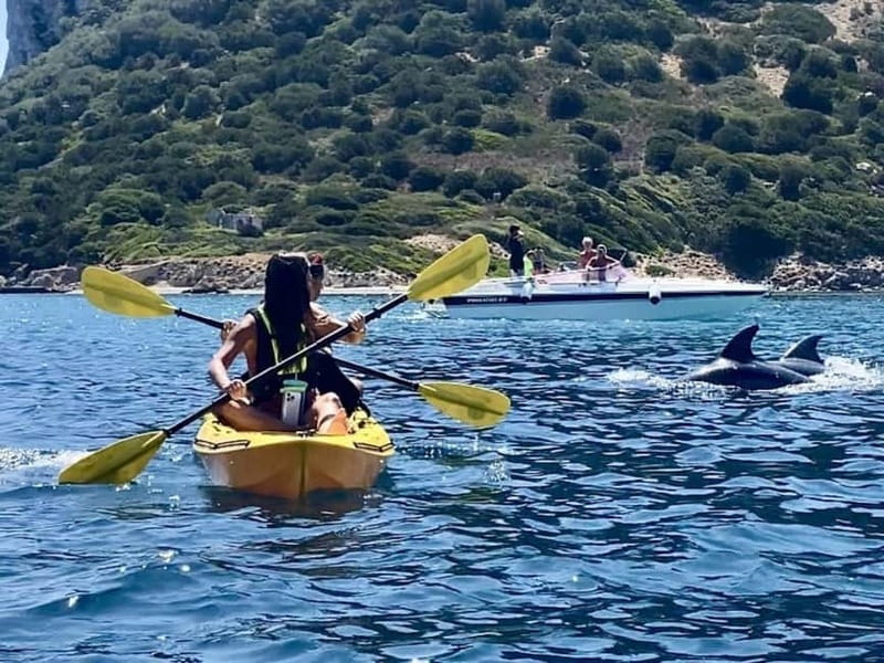 Golfo Aranci:Small group, german guided Kayak tour&Dolphins - Paddling toward Cala Moresca
