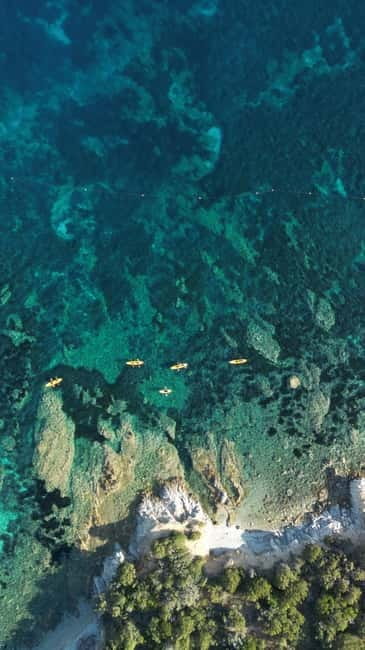 Golfo Aranci:Small group, german guided Kayak tour&Dolphins - Dolphin watching near the fish farm