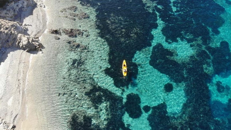 Golfo Aranci:Small group, german guided Kayak tour&Dolphins - Morning, sunset, and language choices