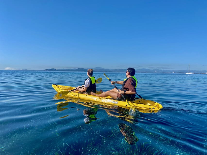 Golfo Aranci: Small group Kayak tour with Aperitif &dolphins - Watching for dolphins near the fish farm