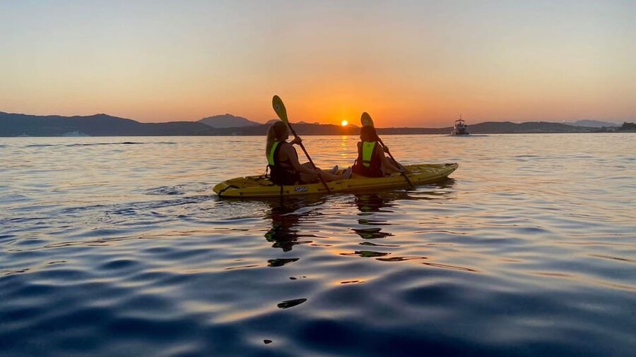 Golfo Aranci: Small group Kayak tour with Aperitif &dolphins - Equipment, languages, and guide quality