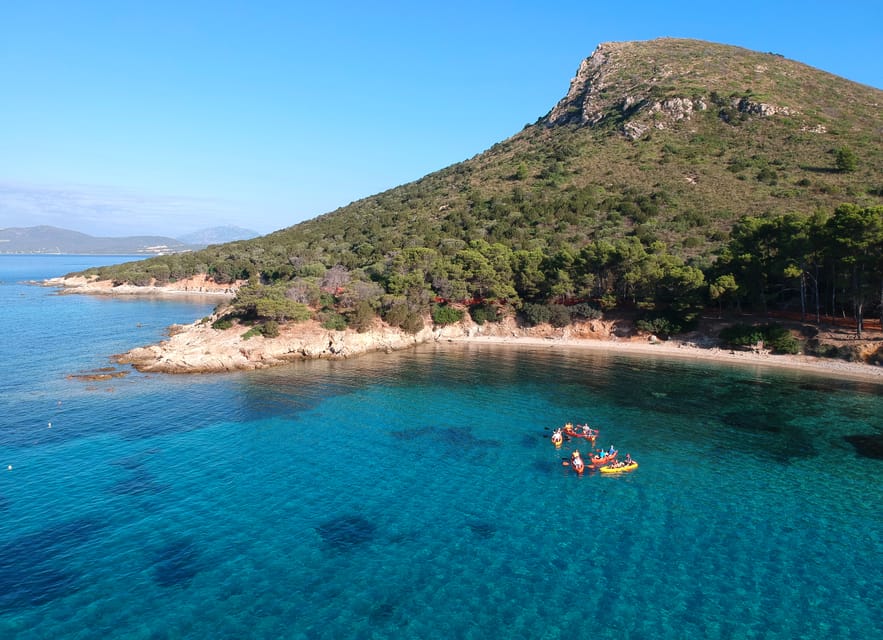 Golfo Aranci: Sunrise Dolphin Kayak Tour with Breakfast - Who should book this morning on the water