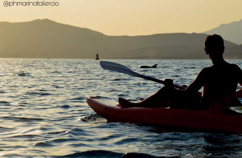 Golfo Aranci: Sunset Dolphin Kayak Tour with Aperitif - Key points to know before you go