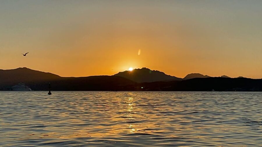 Golfo Aranci: Sunset Dolphin Kayak Tour with Aperitif - The guides can shape the whole experience