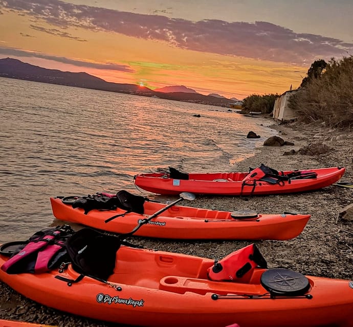 Golfo Aranci: Sunset Dolphin Kayak Tour with Aperitif - The dolphin search near sunset