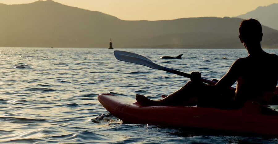 Golfo Aranci: Sunset Dolphin Kayak Tour with Aperitif - Finding Spiaggia dei Baracconi