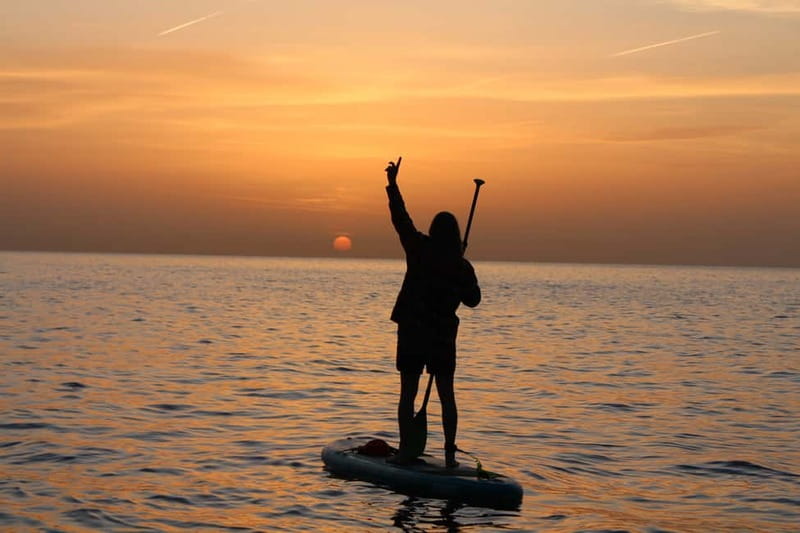 Golfo Aranci: Sup with dolphins, aperitif & photo shoot - Key points at a glance