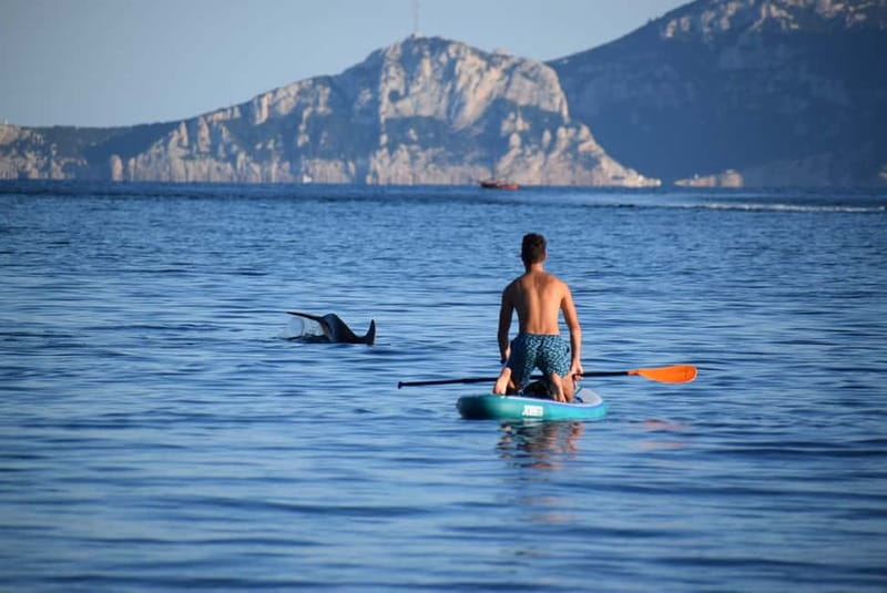 Golfo Aranci: Sup with dolphins, aperitif & photo shoot - The first 15 minutes: lesson and safety briefing