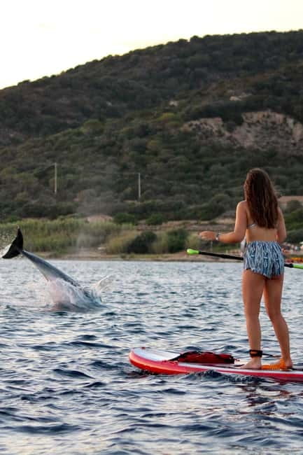 Golfo Aranci: Sup with dolphins, aperitif & photo shoot - The 55-minute dolphin watch