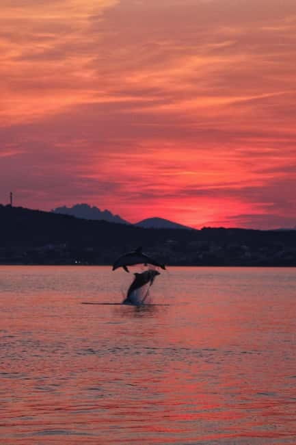 Golfo Aranci: Sup with dolphins, aperitif & photo shoot - Is $62.63 good value?