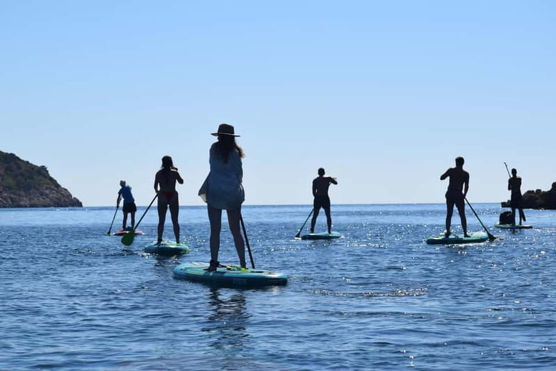 Golfo Aranci: Sup with dolphins, aperitif & photo shoot - Who should book this activity?