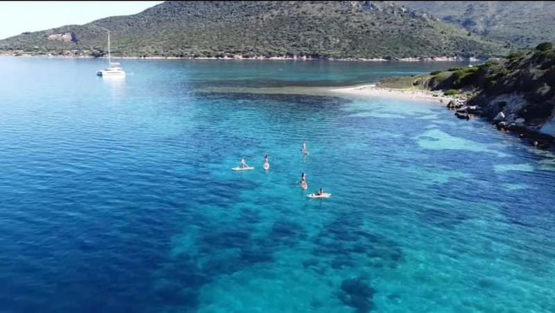Golfo Aranci tour SUP Paddleboard Dolphin watching, aperitif - Key points before you book
