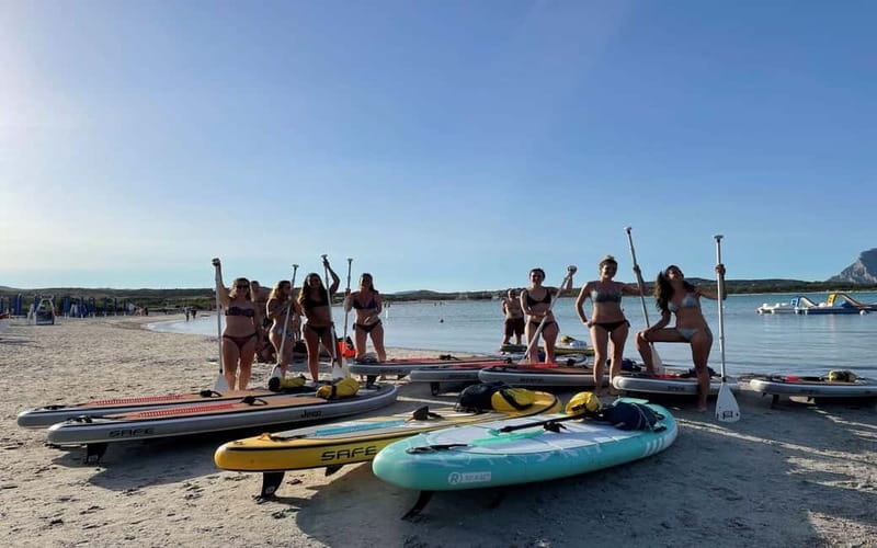 Golfo Aranci tour SUP Paddleboard Dolphin watching, aperitif - Looking for dolphins around Figarolo