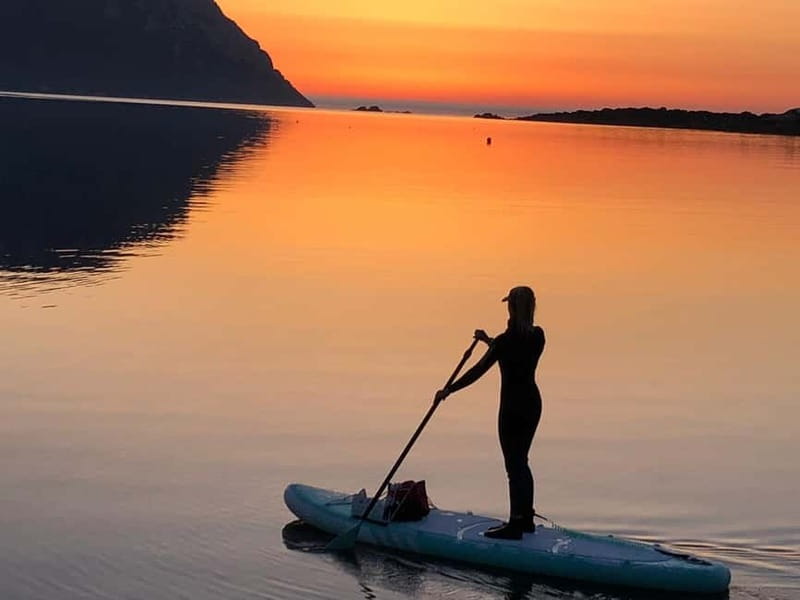 Golfo Aranci tour SUP Paddleboard Dolphin watching, aperitif - What to pack and how to prepare