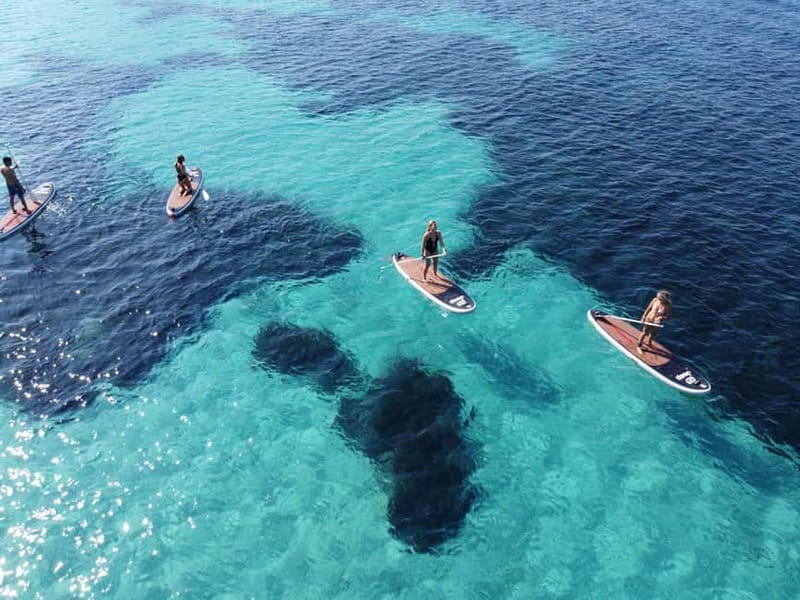 Golfo Aranci tour SUP Paddleboard Dolphin watching, aperitif - Paddling toward Cala Moresca