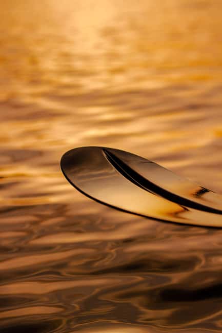 Golfo Aranci: traditional or transparent kayaks, dolphins, and aperitifs - Starting from Baracconi Beach in Golfo Aranci