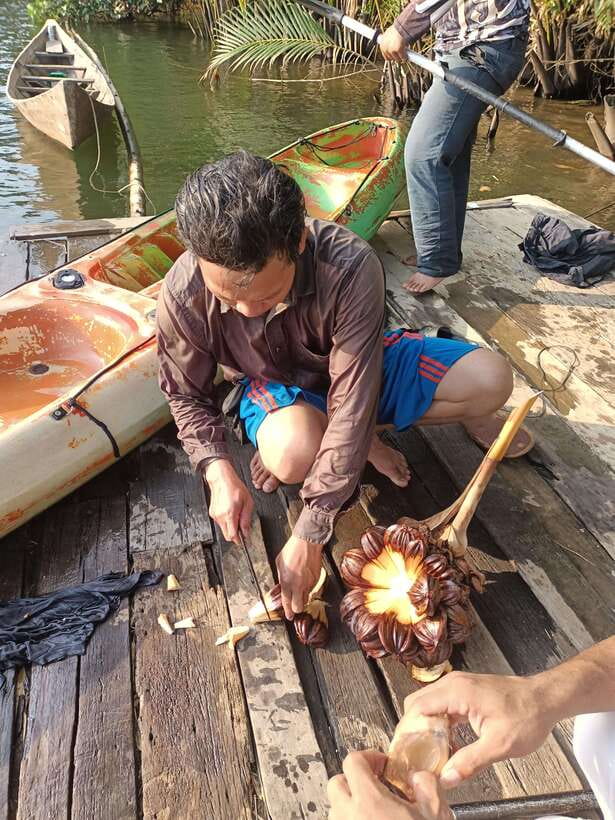 Green Cathedral Kayaking Journey & Reflection River View - Paddling the nipa palm waterways