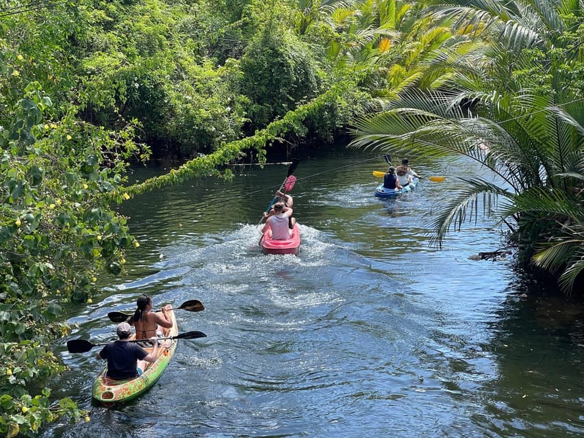Green Cathedral Kayaking Journey & Reflection River View - What you see from the water