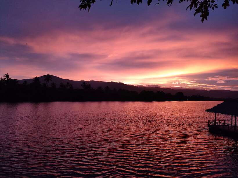 Green Cathedral Kayaking Journey & Reflection River View - Swimming, hammocks, and the sunset pause