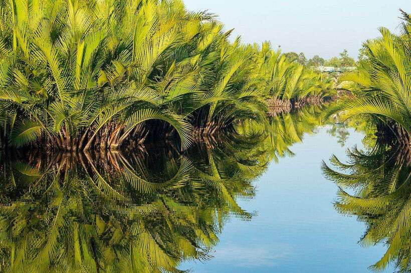 Green Cathedral Kayaking Journey & Reflection River View - What the $28 price really includes