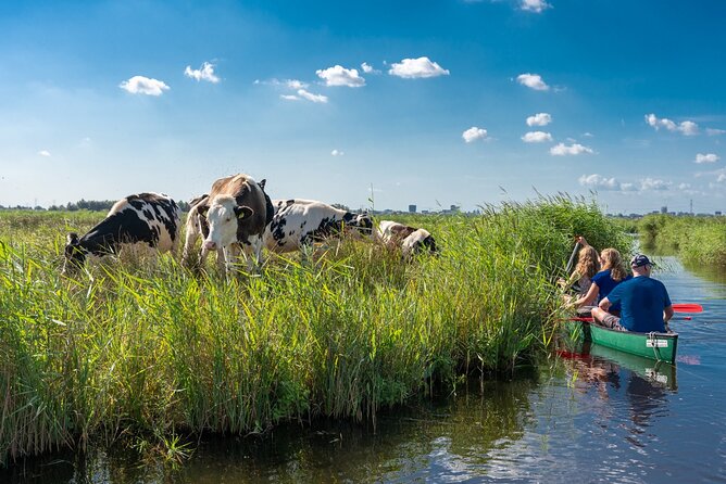 Guided Canoe Adventure with Picnic Lunch in Waterland from Amsterdam - Key points to know before you go
