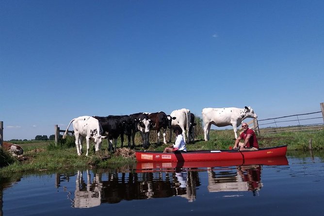 Guided Canoe Adventure with Picnic Lunch in Waterland from Amsterdam - What you learn about Dutch wetlands