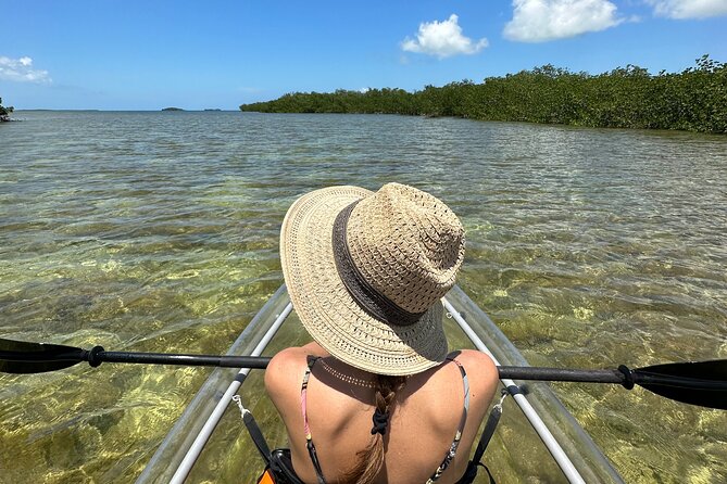 Guided Clear Kayak Eco-Tour Near Key West - Key things to know before you paddle