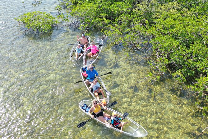 Guided Clear Kayak Eco-Tour Near Key West - What the clear kayak adds to Sugarloaf Key