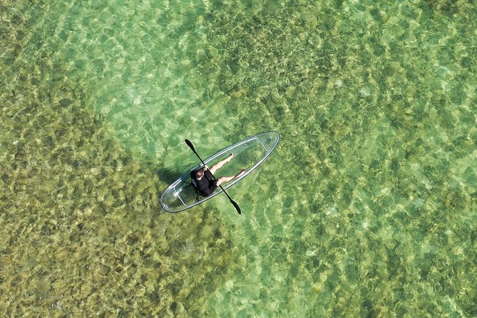 Guided Clear Kayak Eco-Tour Near Key West - What you might see below the hull