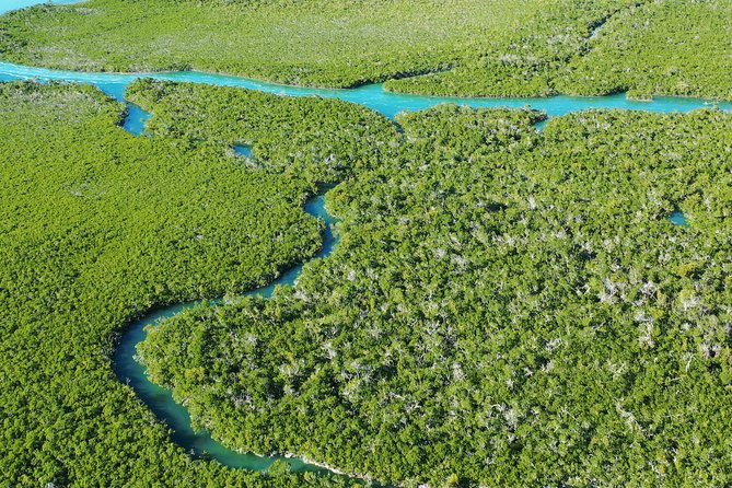 Guided Clear Kayak Eco-Tour Near Key West - How hard is the paddling?