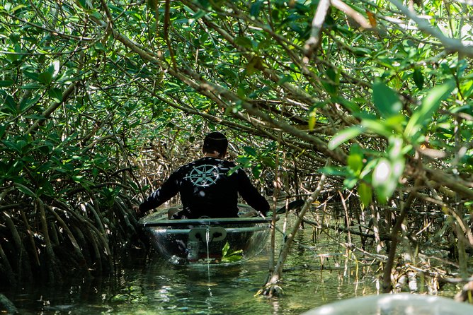 Guided Clear Kayak Eco-Tour Near Key West - The best fit for this eco-tour