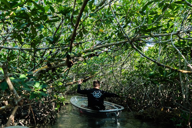Guided Clear Kayak Eco-Tour Near Key West - The route from Sugarloaf Marina into the mangroves