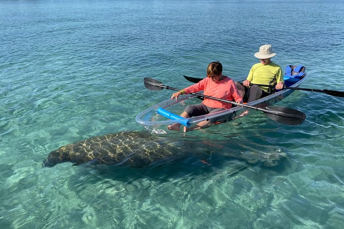 Guided Clear Kayak Eco-Tour of Jupiter - Quick facts for planning your paddle