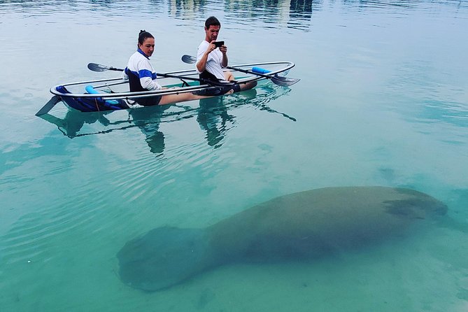 Guided Clear Kayak Eco-Tour of Jupiter - Starting at Jupiter Inlet Lighthouse