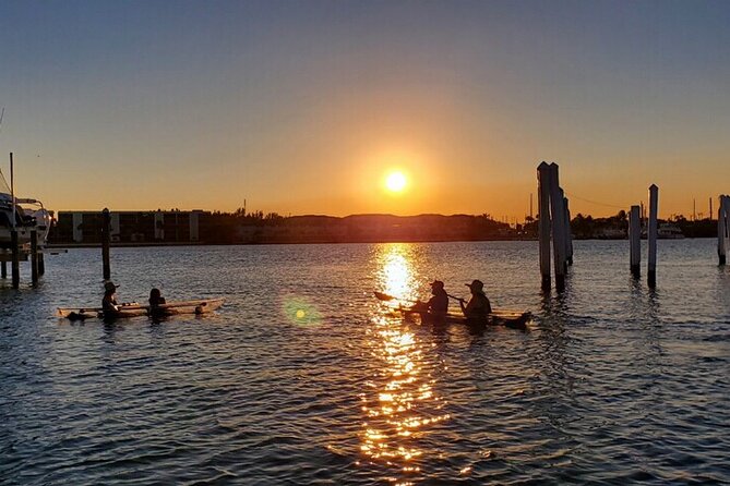 Guided Clear Kayak Eco-Tour of Jupiter - How the guides shape the experience