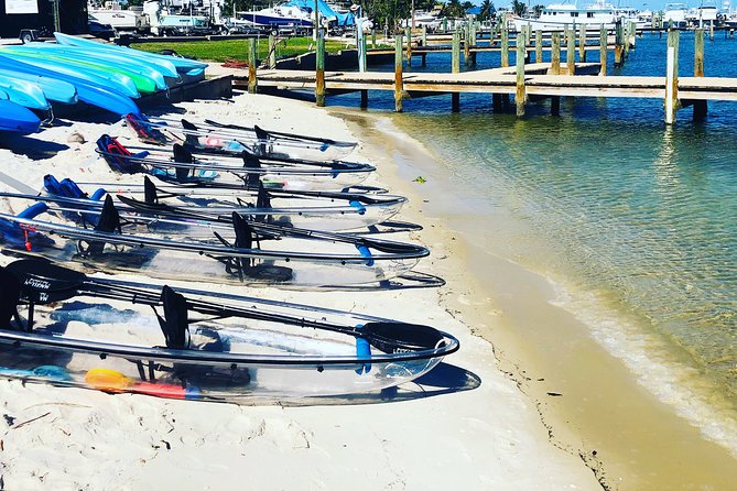 Guided Clear Kayak Eco-Tour of Jupiter - Who should book this Jupiter tour