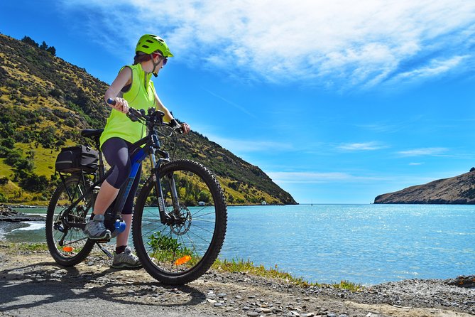 Guided Electric Mountain Bike & Sea Kayak Tour in Akaroa - What the guides add to the day