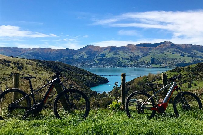 Guided Electric Mountain Bike & Sea Kayak Tour in Akaroa - The physical effort: manageable, but real