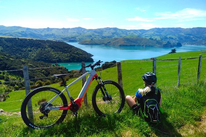 Guided Electric Mountain Bike & Sea Kayak Tour in Akaroa - Cruise ship timing and practical planning