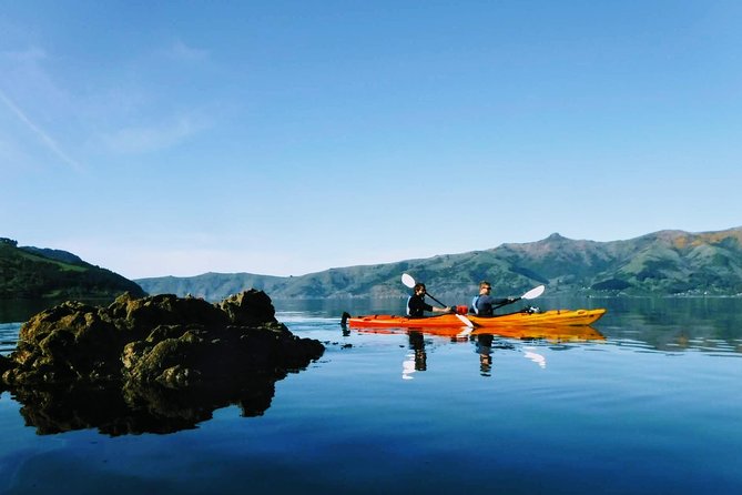 Guided Electric Mountain Bike & Sea Kayak Tour in Akaroa - Who gets the best value