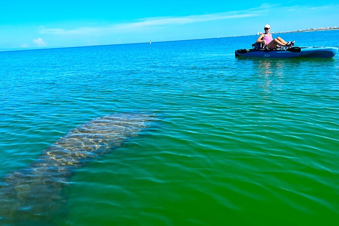 Guided Hobie Kayak EcoTour: Premium Eco Experience Bonita Springs - Key points to know before booking