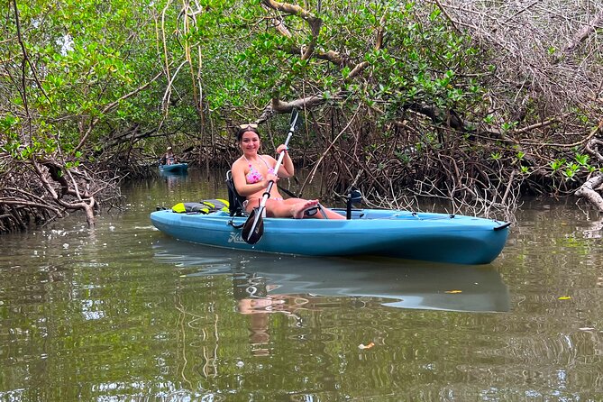 Guided Hobie Kayak EcoTour: Premium Eco Experience Bonita Springs - How the two-and-a-half hours feel