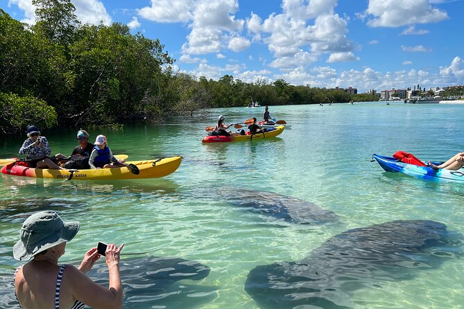 Guided Island EcoTour: CLEAR/Standard Kayak, SUP - Bonita Springs - Key points to know before you book