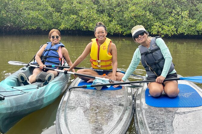 Guided Island EcoTour: CLEAR/Standard Kayak, SUP - Bonita Springs - Paddling through the mangroves