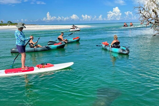 Guided Island EcoTour: CLEAR/Standard Kayak, SUP - Bonita Springs - Searching for dolphins, birds, fish, and manatees
