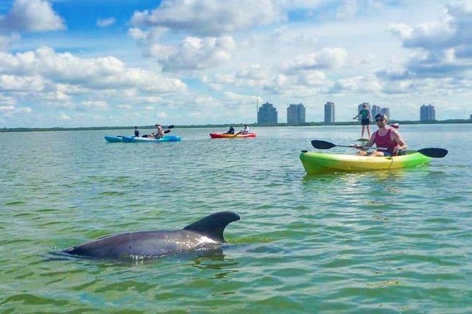 Guided Island EcoTour: CLEAR/Standard Kayak, SUP - Bonita Springs - The island beach and shelling stop