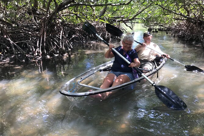 Guided Island EcoTour: CLEAR/Standard Kayak, SUP - Bonita Springs - How much value do you get for $50?