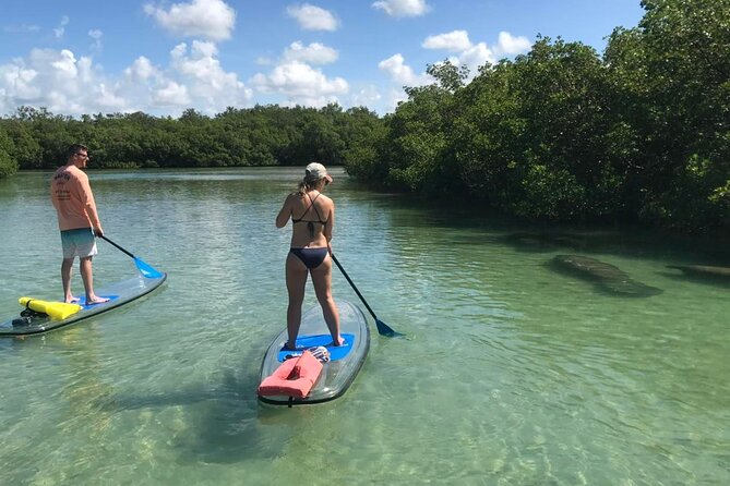 Guided Island EcoTour: CLEAR/Standard Kayak, SUP - Bonita Springs - Which guide style suits you best?