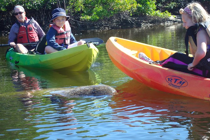 Guided Kayak Eco Tour - Bunche Beach - Starting at Bunche Beach in Fort Myers