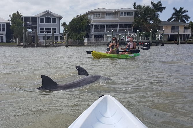 Guided Kayak Eco Tour - Bunche Beach - The Bunche Beach break